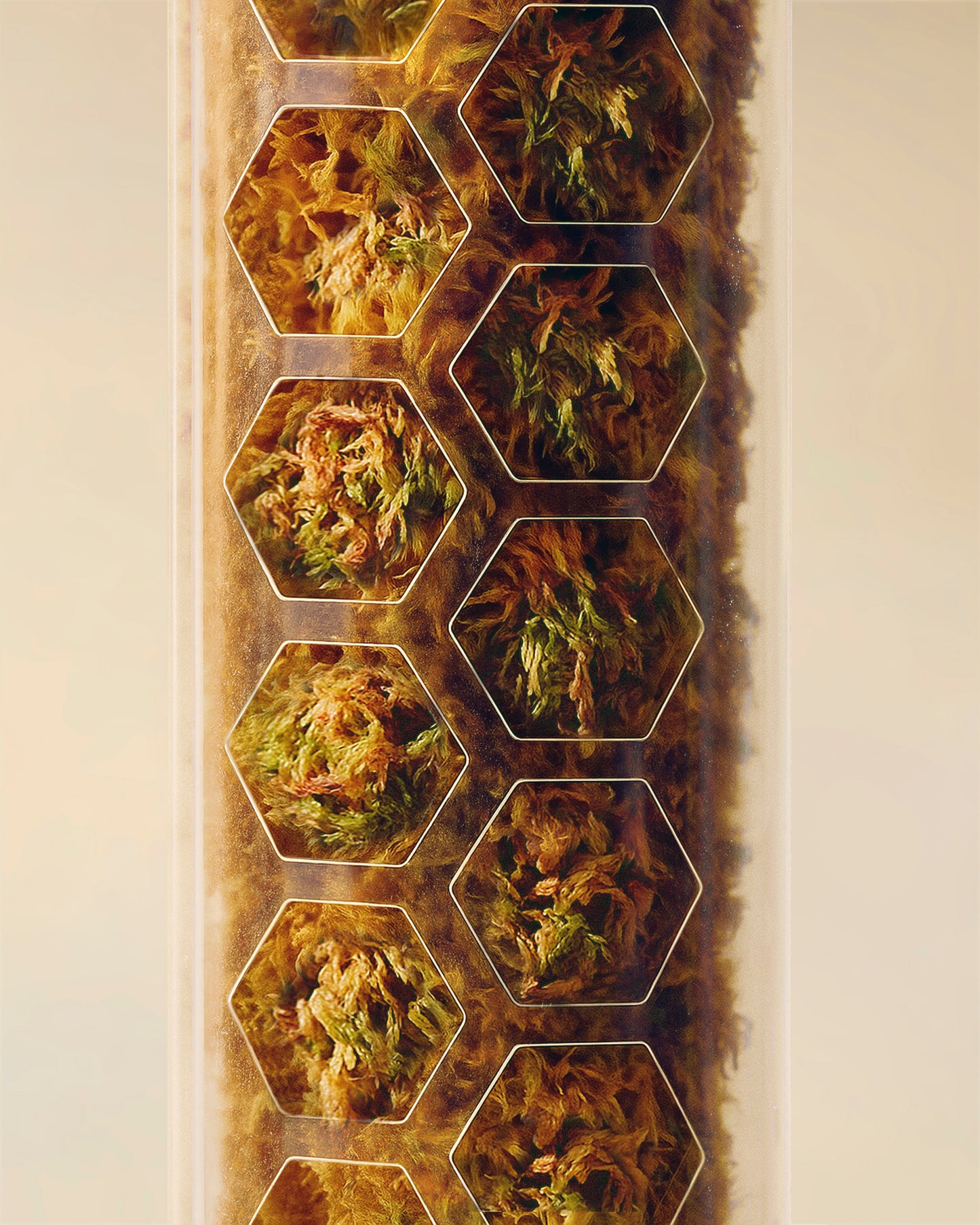 Moss Poles Plant Scraper [Classic]