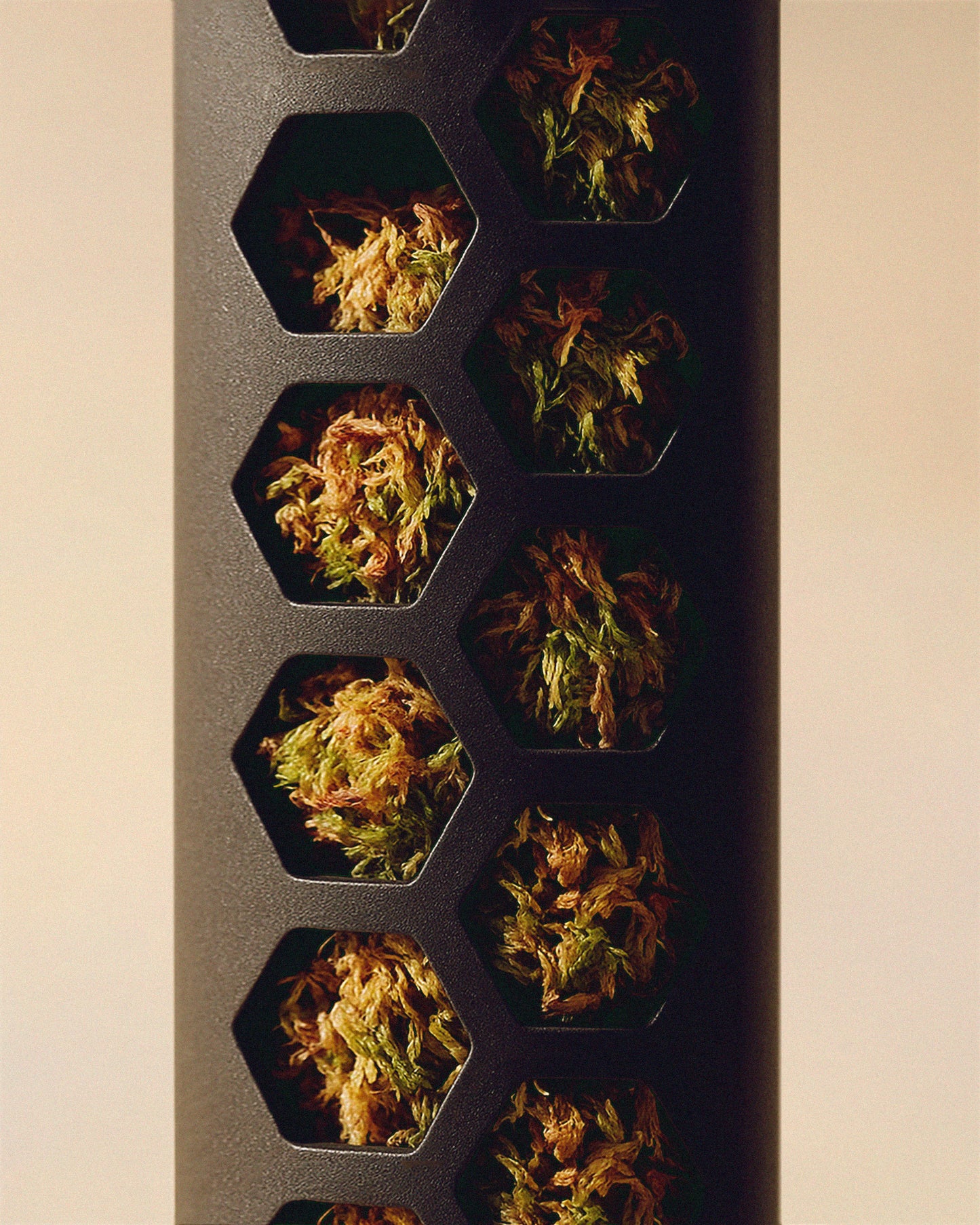 Moss Poles Plant Scraper [Classic]