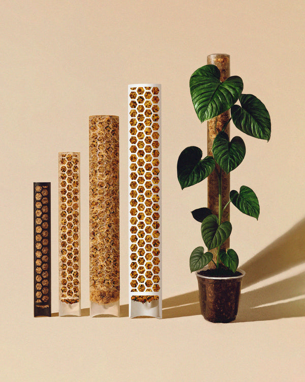 Moss Poles Plant Scraper [Classic] – AUREUM BOTANICALS