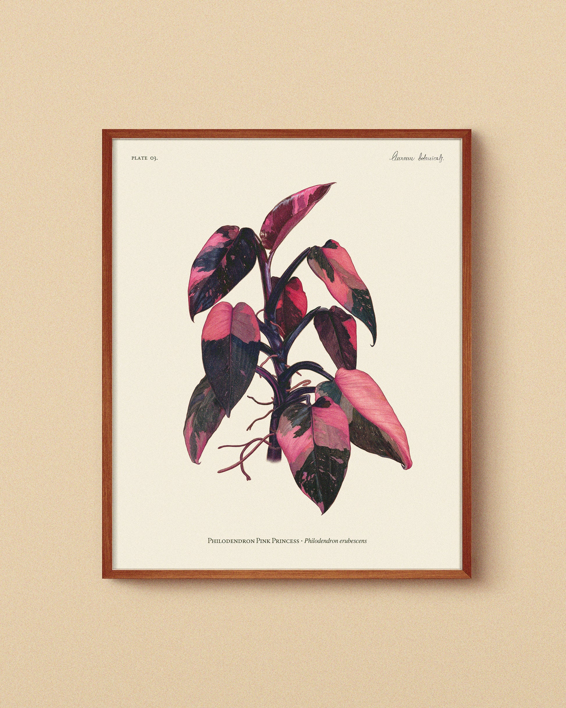 philodendron art Philodendron Pink Princess Print